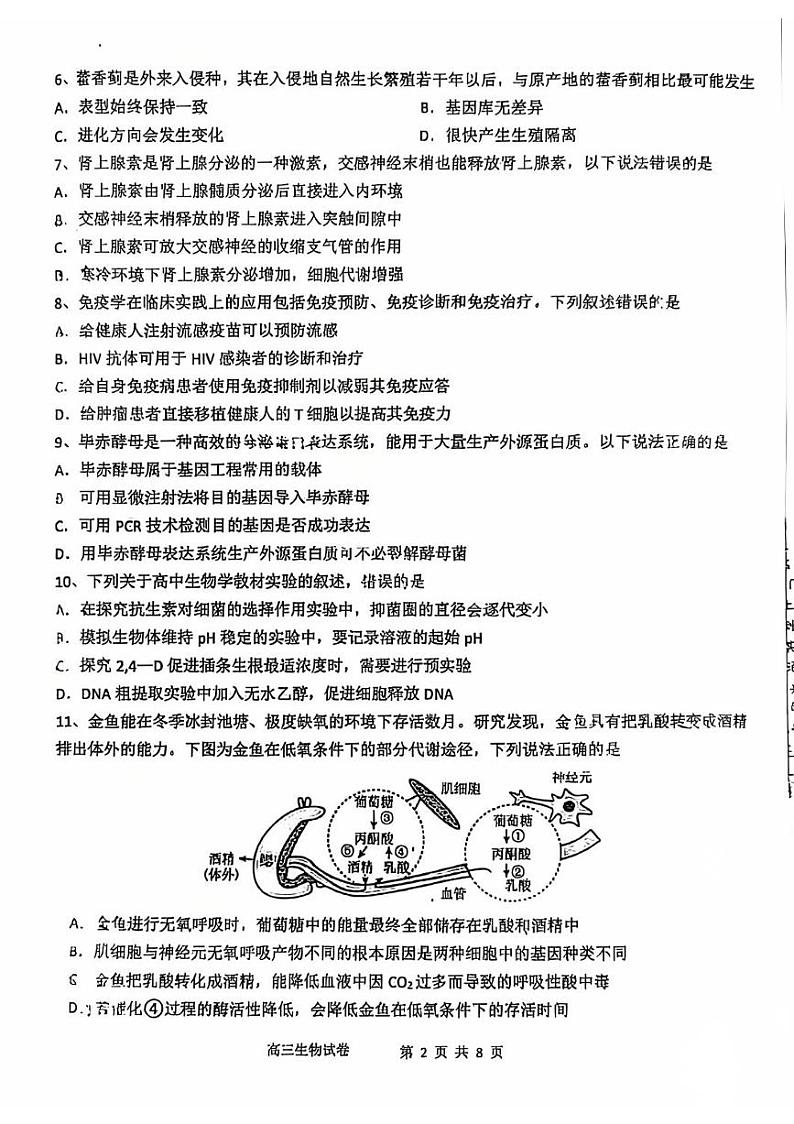 福建省福建师大附中2025届高三上学期期末考-生物试卷+答案第2页