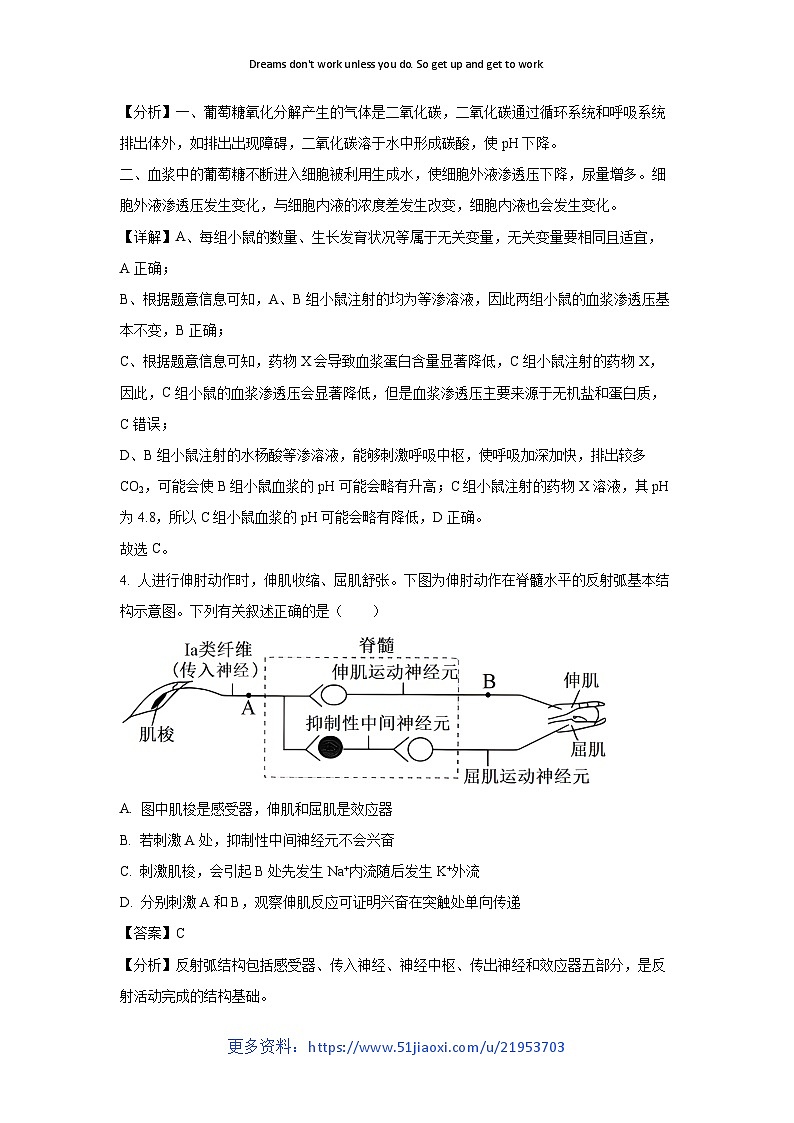 2024-2025学年河南省安阳市高二上学期期中联考生物试卷（解析版）第3页
