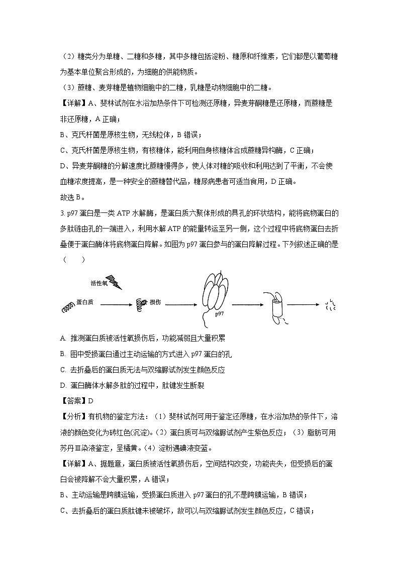 2024-2025学年河南省周口市高三上学期期中考试生物试卷（解析版）第2页