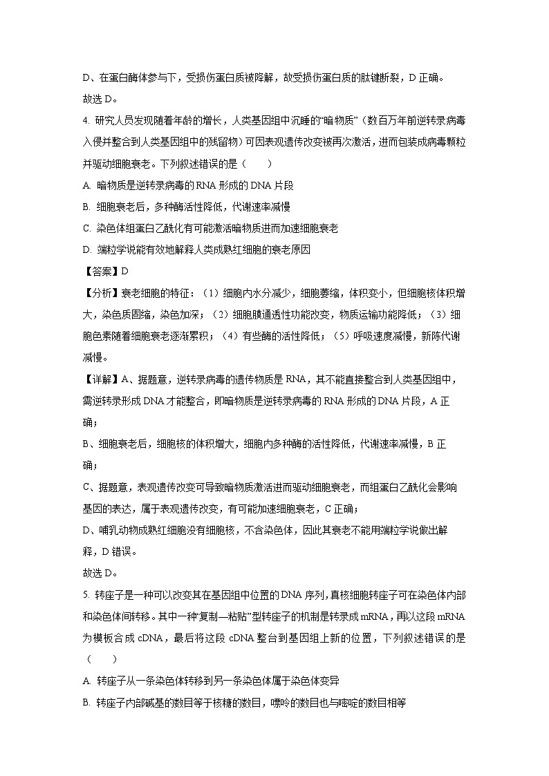 2024-2025学年河南省周口市高三上学期期中考试生物试卷（解析版）第3页