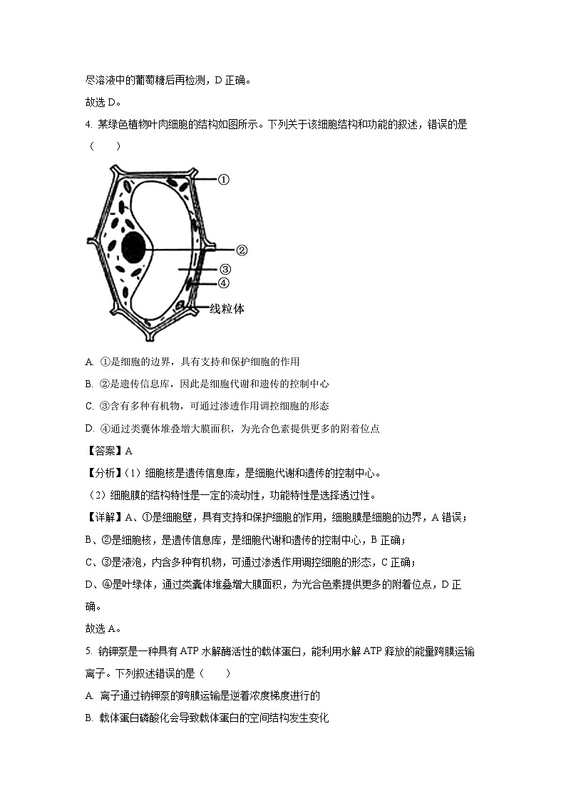 2024-2025学年河北省承德市高三上学期期中考试生物试卷（解析版）第3页