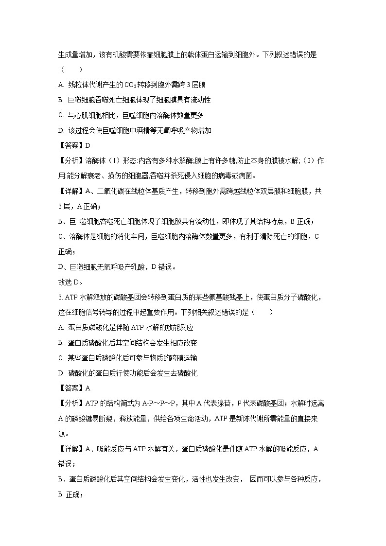 2024-2025学年河北省高三上学期大数据应用调研阶段性联合测评月考生物试卷（解析版）第2页