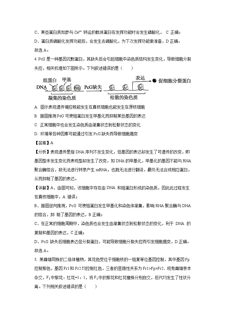 2024-2025学年河北省高三上学期大数据应用调研阶段性联合测评月考生物试卷（解析版）第3页