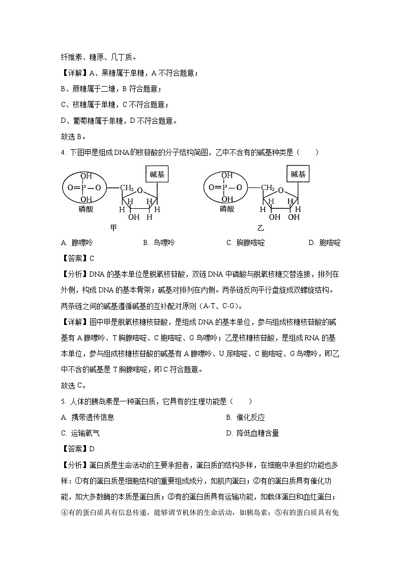 2024-2025学年江苏省江阴市某校高二上学期10月必修合格性考试生物试卷（解析版）第2页