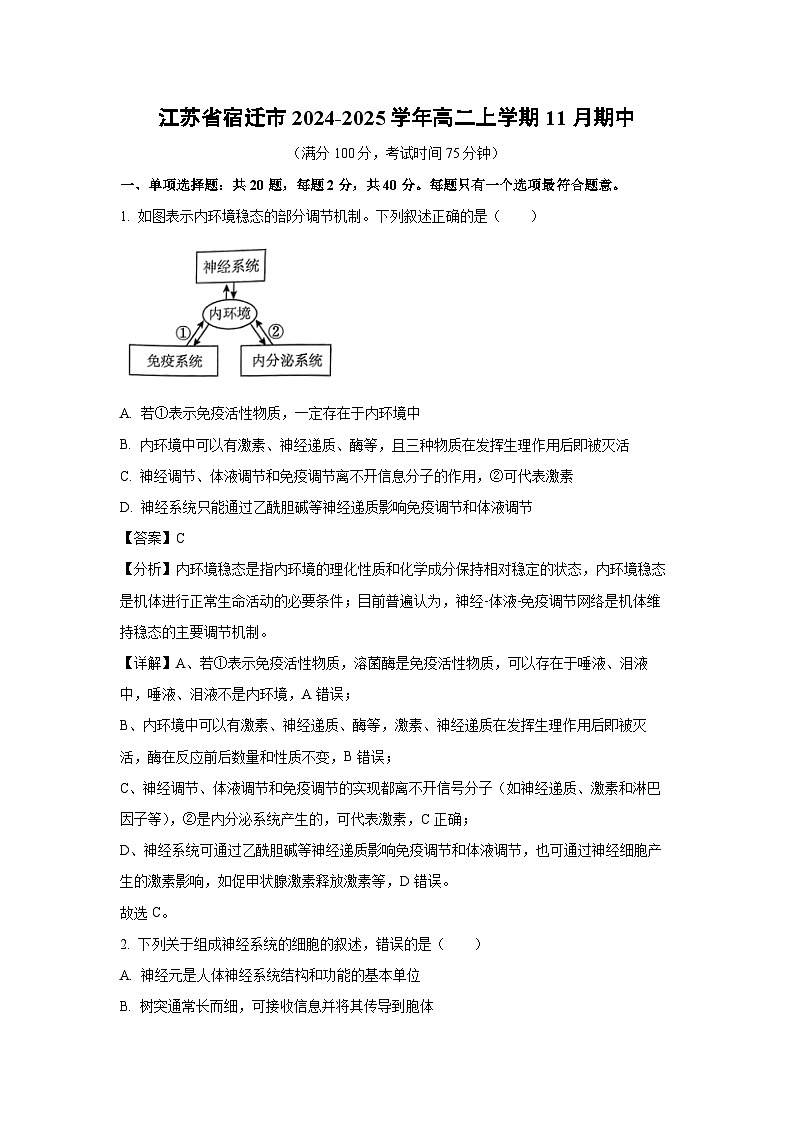 2024-2025学年江苏省宿迁市高二上学期11月期中生物试卷（解析版）第1页
