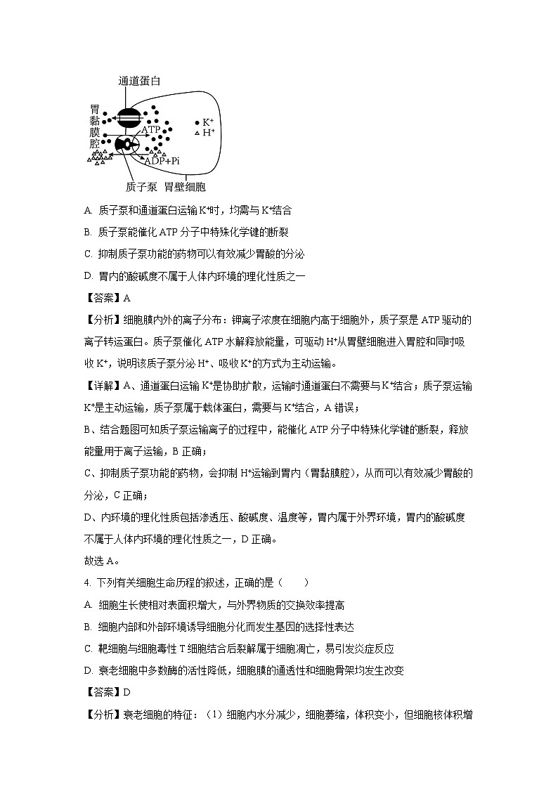 2024-2025学年江苏省南通市如东县高三上学期期中学情检测生物试卷（解析版）第3页