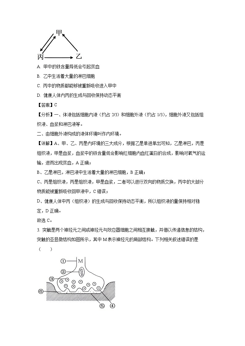 2024-2025学年广西合浦县高二上学期期中检测生物试卷（解析版）第2页