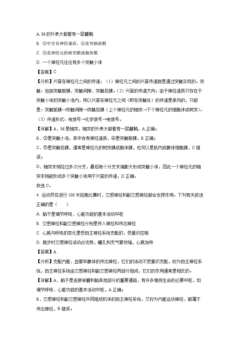2024-2025学年广西合浦县高二上学期期中检测生物试卷（解析版）第3页
