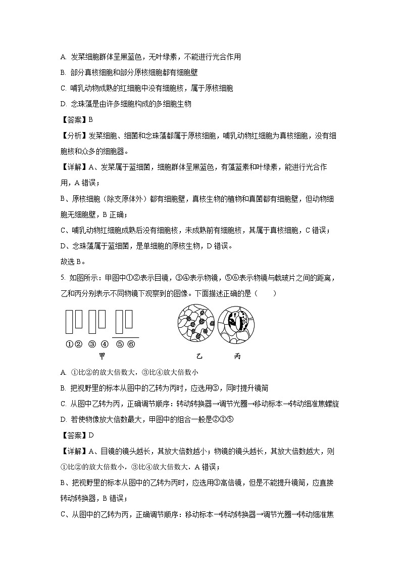 2024-2025学年吉林省长春市博硕学校高一上学期期中生物试卷（解析版）第3页