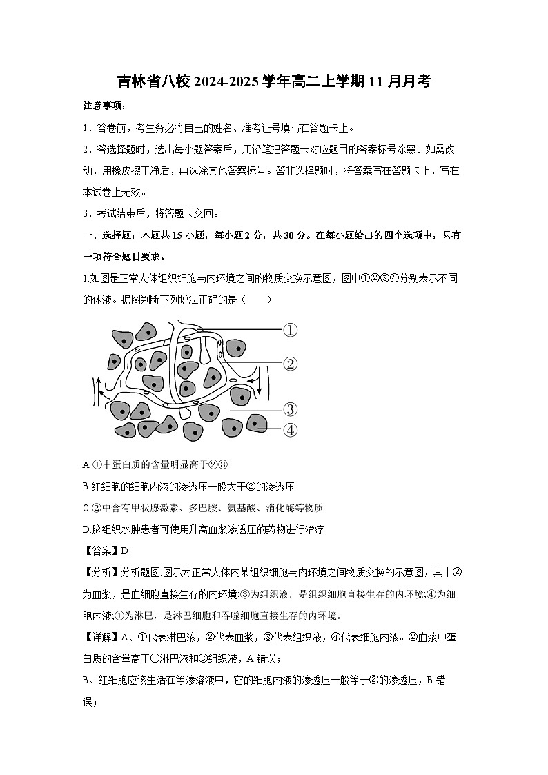 2024-2025学年吉林省八校高二上学期11月月考生物试卷（解析版）第1页