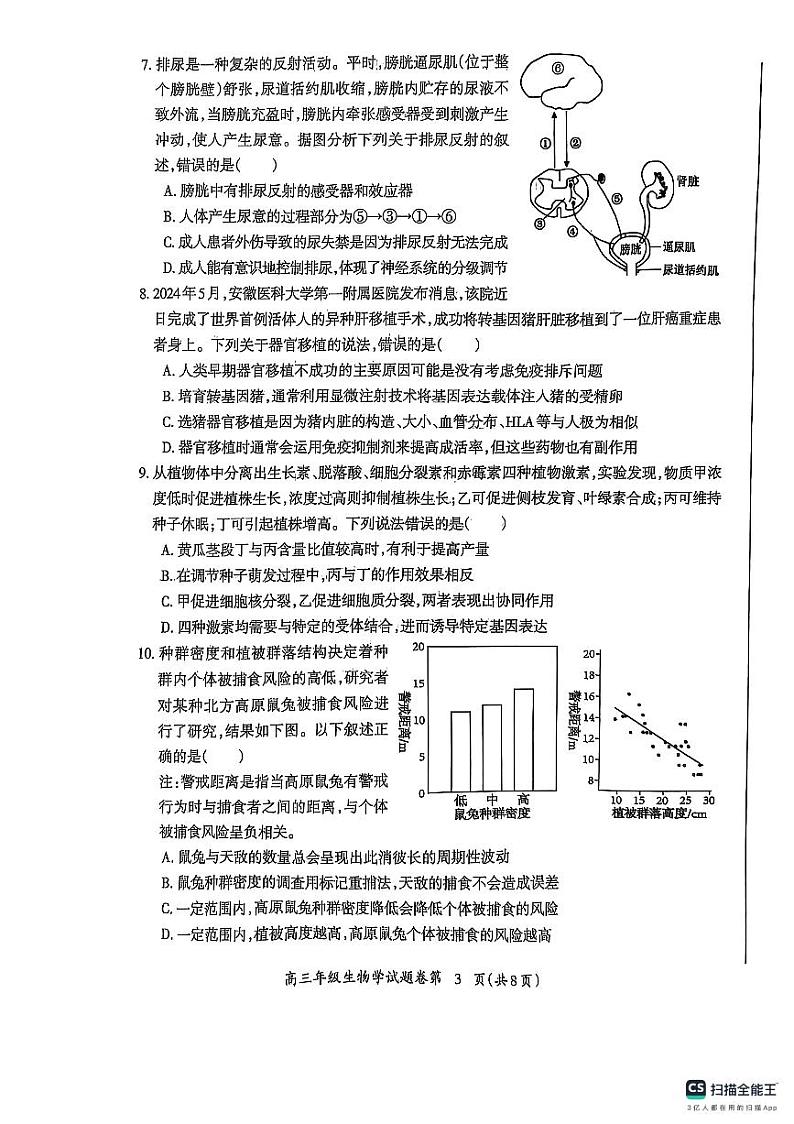 2025芜湖高三上学期1月期末考试生物PDF版含答案第3页