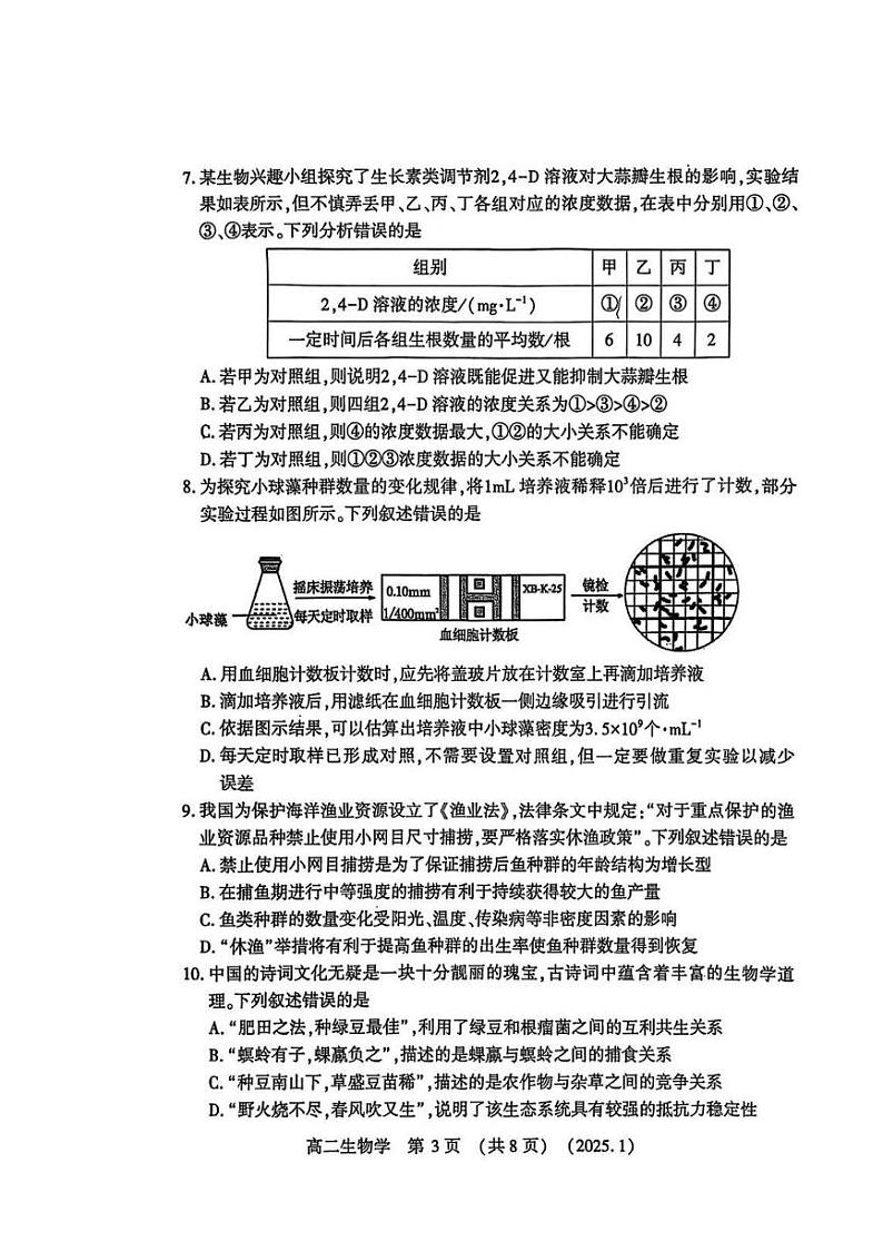 洛阳市2024-2025学年高二上学期期末生物试卷及答案第3页