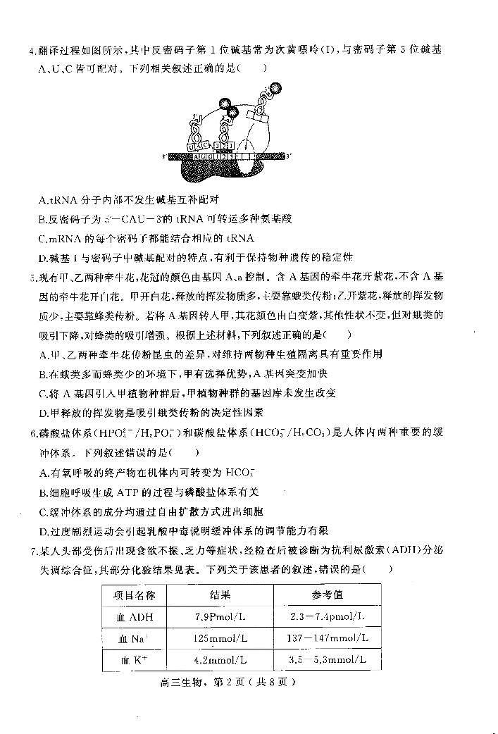 河北省石家庄市辛集市2025届高三上学期期末考-生物试题+答案第2页