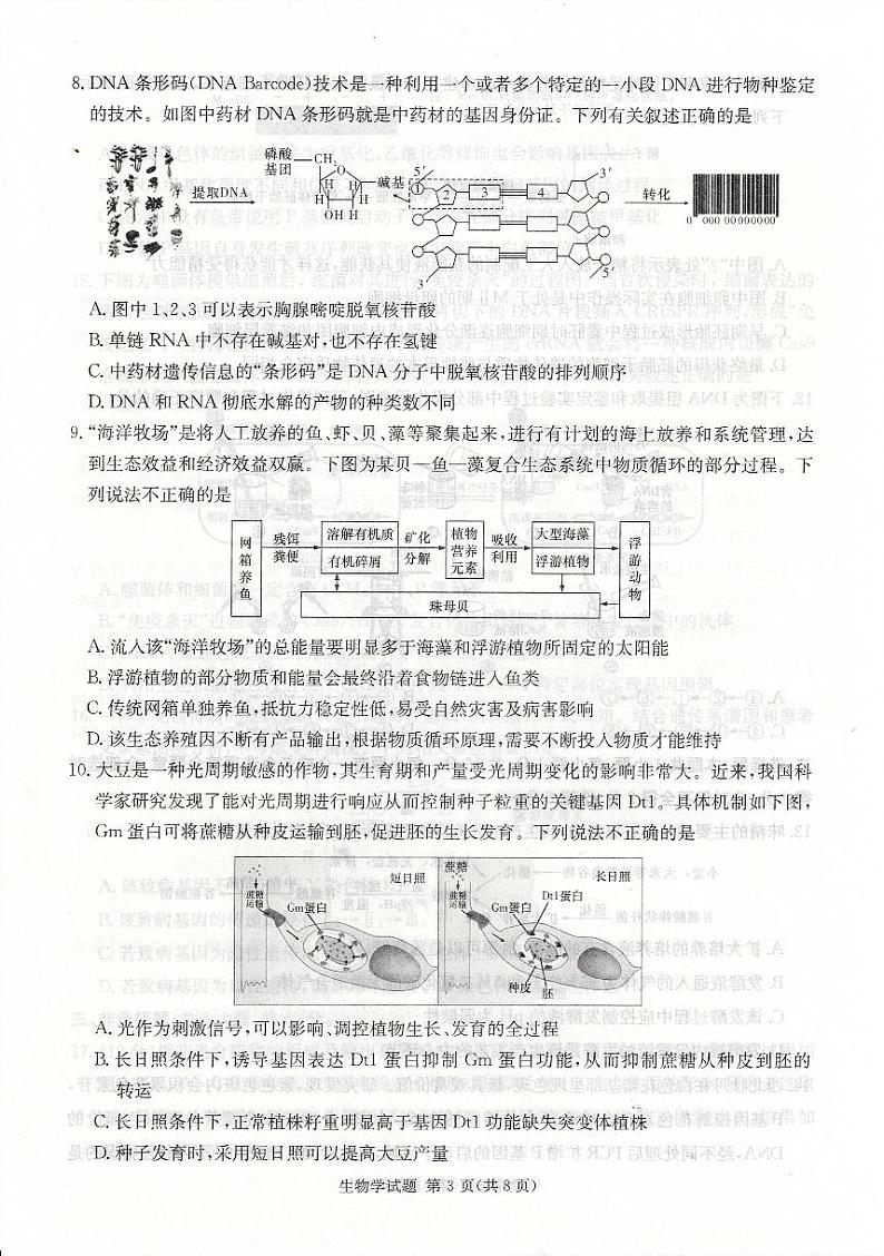 湖南省娄底市2024年秋季高三高考模拟教学质量检测生物+答案第3页