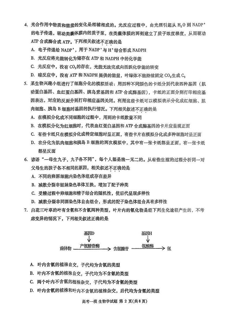 江西省九江市2025届高三上学期第一次高考模拟统一考试生物+答案第2页