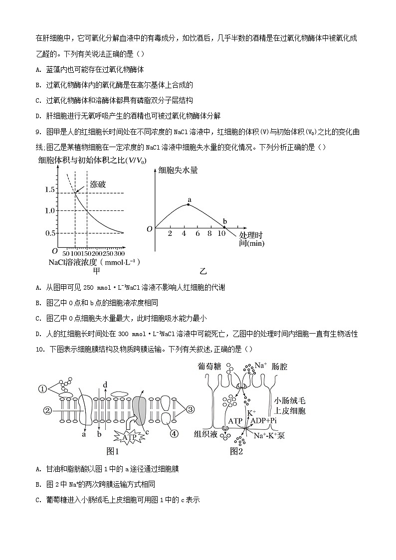 山东省枣庄市2023_2024学年高一生物上学期1月期末模拟检测考试含解析第3页