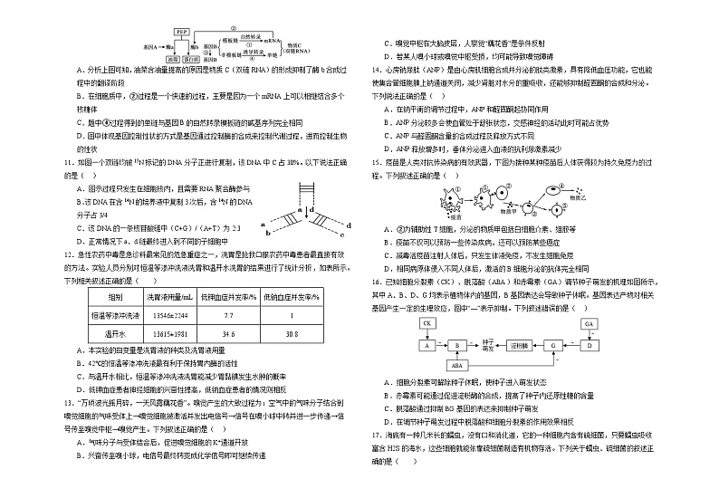 甘肃省白银市第八中学2024-2025学年高三上学期1月月考生物试题（Word版附解析）第2页