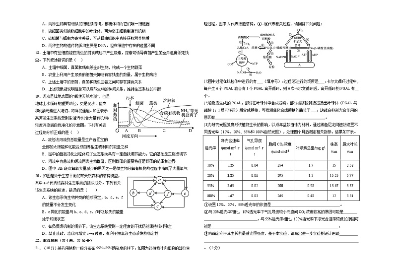 甘肃省白银市第八中学2024-2025学年高三上学期1月月考生物试题（Word版附解析）第3页