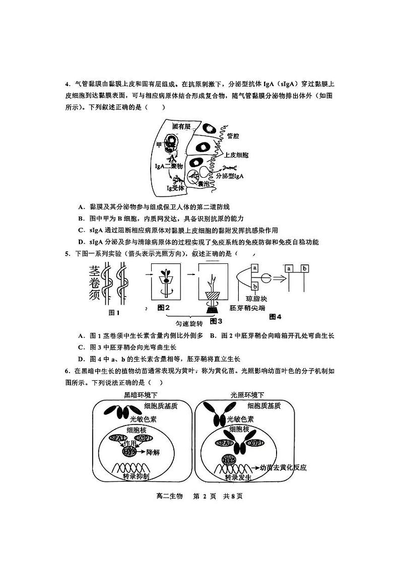 江西省景德镇市2024-2025学年高二上学期1月期末生物试题第2页