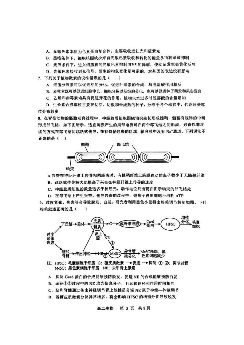 江西省景德镇市2024-2025学年高二上学期1月期末生物试题第3页