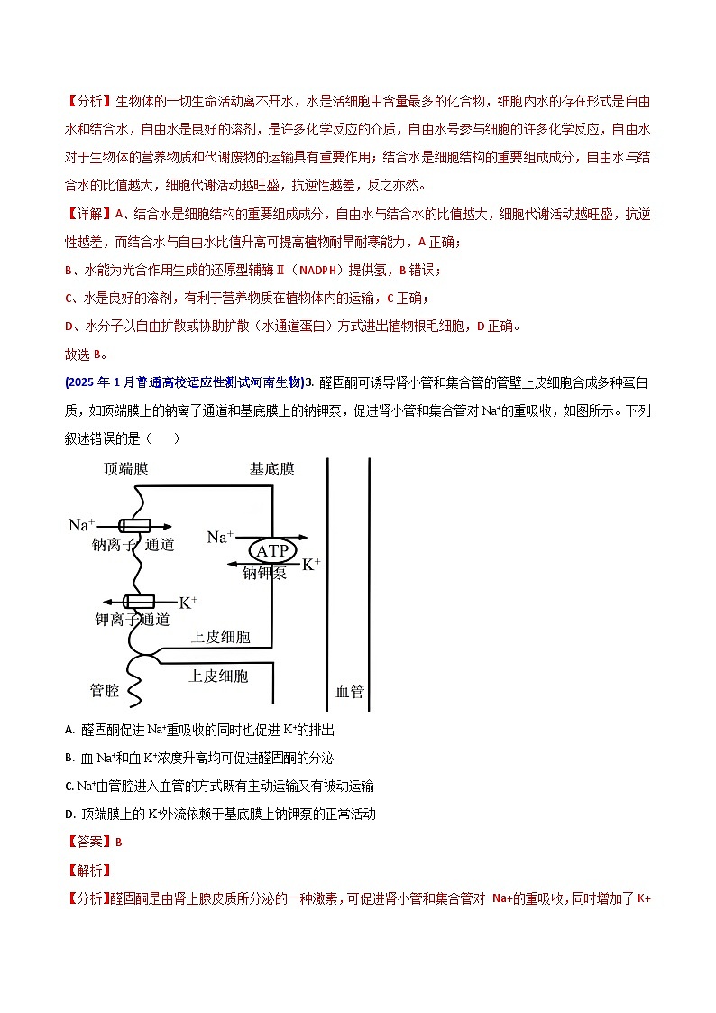 八省联考真题汇编 专题二  细胞的新陈代谢（跨膜运输、ATP、酶、光合与呼吸）-2025年1月“八省联考”生物真题分类汇编(解析版)第2页