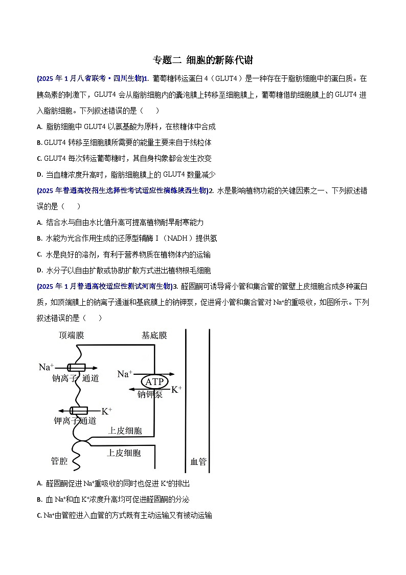 八省联考真题汇编 专题二  细胞的新陈代谢（跨膜运输、ATP、酶、光合与呼吸）-2025年1月“八省联考”生物真题分类汇编(原卷版)第1页