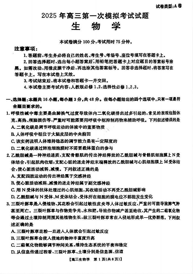 16685999第1页