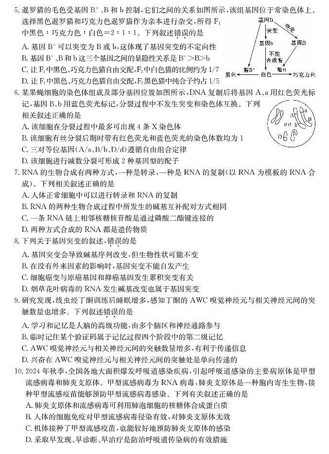 山西省三晋卓越联盟2025届高三上学期期末质量检测卷生物第2页