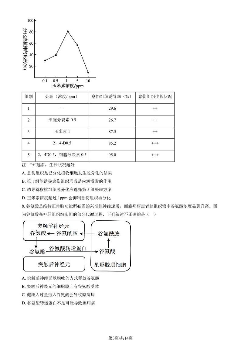 2025北京北师大实验中学高三（上）期末生物试卷（教师版）第3页