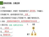 1.2 孟德尔的豌豆杂交实验（二）（第1课时）-2024-2025学年高一生物下学期精品课件（2019人教版必修2）
