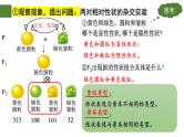 1.2 孟德尔的豌豆杂交实验（二）（第1课时）-2024-2025学年高一生物下学期精品课件（2019人教版必修2）