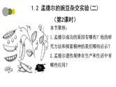 1.2 孟德尔的豌豆杂交实验（二）（第2课时）-2024-2025学年高一生物下学期精品课件（2019人教版必修2）