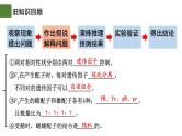 1.2 孟德尔的豌豆杂交实验（二）（第2课时）-2024-2025学年高一生物下学期精品课件（2019人教版必修2）