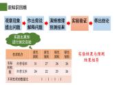 1.2 孟德尔的豌豆杂交实验（二）（第2课时）-2024-2025学年高一生物下学期精品课件（2019人教版必修2）