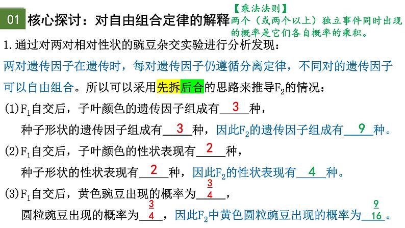 1.2 孟德尔的豌豆杂交实验（二）（第2课时）-2024-2025学年高一生物下学期精品课件（2019人教版必修2）第8页