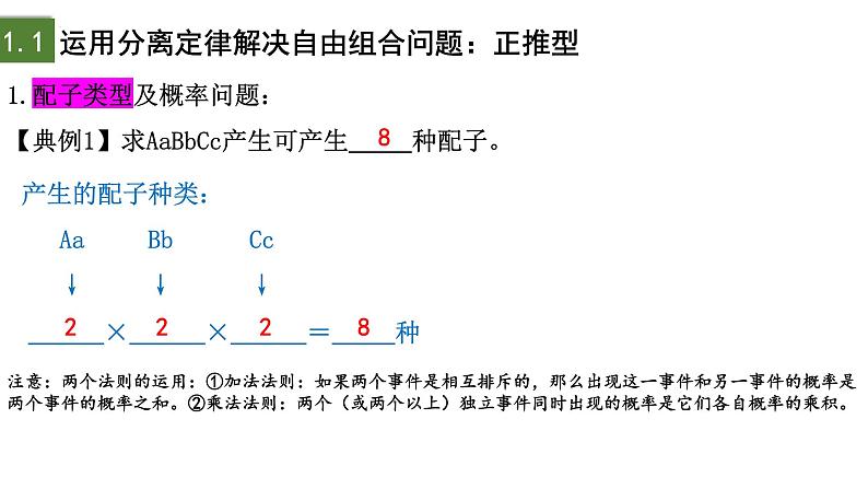 1.2 孟德尔的豌豆杂交实验（二）（第3课时）-2024-2025学年高一生物下学期精品课件（2019人教版必修2）第4页