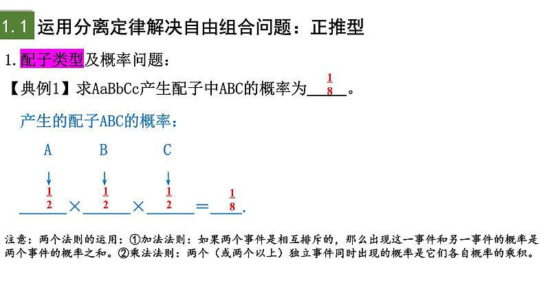 1.2 孟德尔的豌豆杂交实验（二）（第3课时）-2024-2025学年高一生物下学期精品课件（2019人教版必修2）第5页