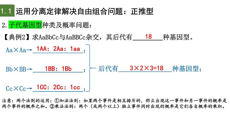 1.2 孟德尔的豌豆杂交实验（二）（第3课时）-2024-2025学年高一生物下学期精品课件（2019人教版必修2）第6页