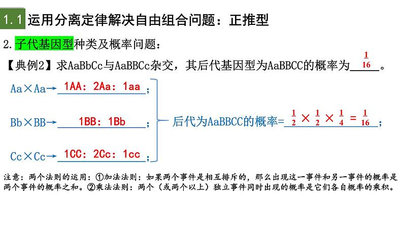 1.2 孟德尔的豌豆杂交实验（二）（第3课时）-2024-2025学年高一生物下学期精品课件（2019人教版必修2）第7页