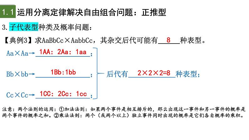 1.2 孟德尔的豌豆杂交实验（二）（第3课时）-2024-2025学年高一生物下学期精品课件（2019人教版必修2）第8页