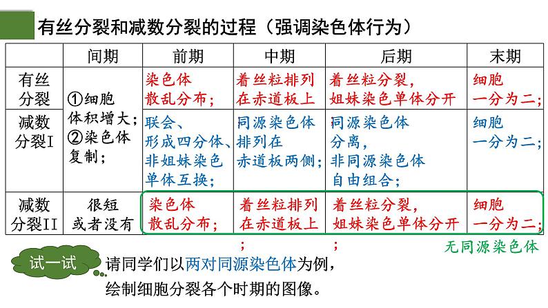 2.1 减数分裂和受精作用（第2课时）-2024-2025学年高一生物下学期精品课件（2019人教版必修2）第2页