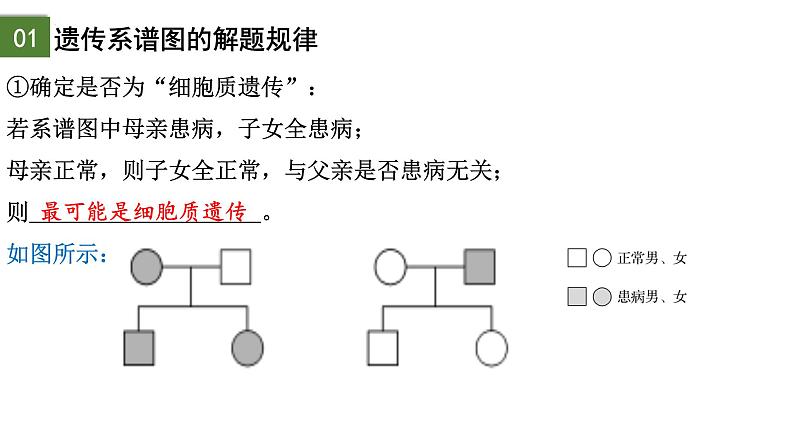 2.3 伴性遗传（第2课时）-2024-2025学年高一生物下学期精品课件（2019人教版必修2）第2页