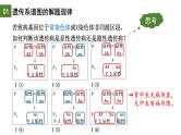 2.3 伴性遗传（第2课时）-2024-2025学年高一生物下学期精品课件（2019人教版必修2）
