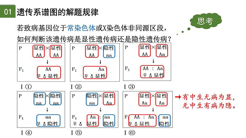 2.3 伴性遗传（第2课时）-2024-2025学年高一生物下学期精品课件（2019人教版必修2）第4页