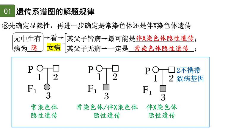 2.3 伴性遗传（第2课时）-2024-2025学年高一生物下学期精品课件（2019人教版必修2）第6页