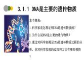3.1 DNA是主要的遗传物质（第1课时）-2024-2025学年高一生物下学期精品课件（2019人教版必修2）