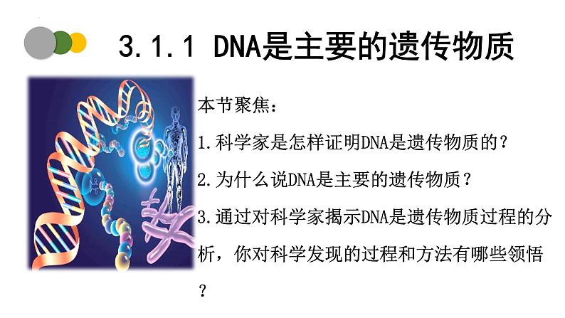 3.1 DNA是主要的遗传物质（第1课时）-2024-2025学年高一生物下学期精品课件（2019人教版必修2）第1页