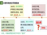 3.1 DNA是主要的遗传物质（第1课时）-2024-2025学年高一生物下学期精品课件（2019人教版必修2）