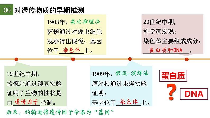 3.1 DNA是主要的遗传物质（第1课时）-2024-2025学年高一生物下学期精品课件（2019人教版必修2）第2页