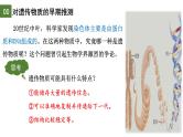 3.1 DNA是主要的遗传物质（第1课时）-2024-2025学年高一生物下学期精品课件（2019人教版必修2）